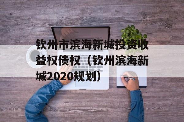 钦州市滨海新城投资收益权债权（钦州滨海新城2020规划）