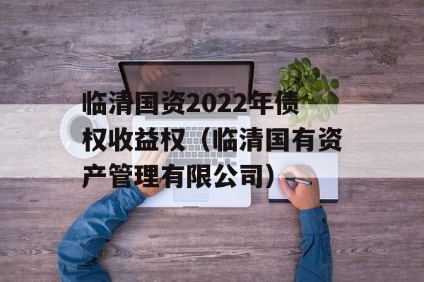 临清国资2022年债权收益权（临清国有资产管理有限公司）