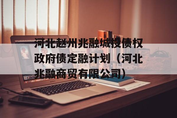 河北赵州兆融城投债权政府债定融计划（河北兆融商贸有限公司）