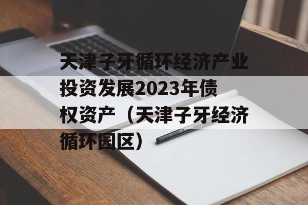 天津子牙循环经济产业投资发展2023年债权资产（天津子牙经济循环园区）