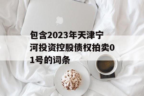 包含2023年天津宁河投资控股债权拍卖01号的词条