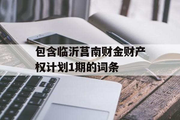 包含临沂莒南财金财产权计划1期的词条