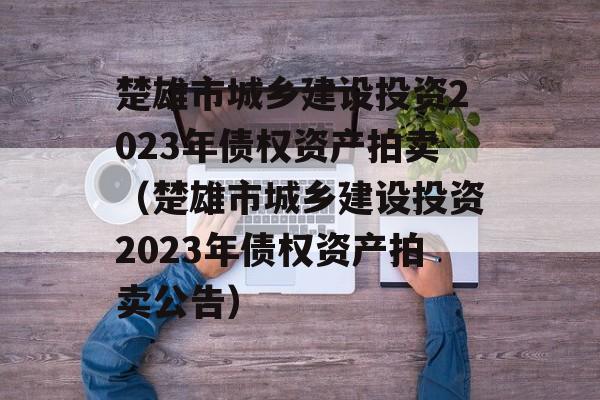 楚雄市城乡建设投资2023年债权资产拍卖（楚雄市城乡建设投资2023年债权资产拍卖公告）