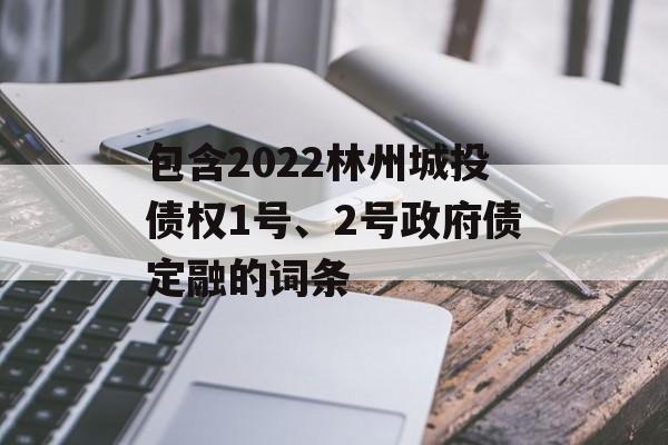 包含2022林州城投债权1号、2号政府债定融的词条