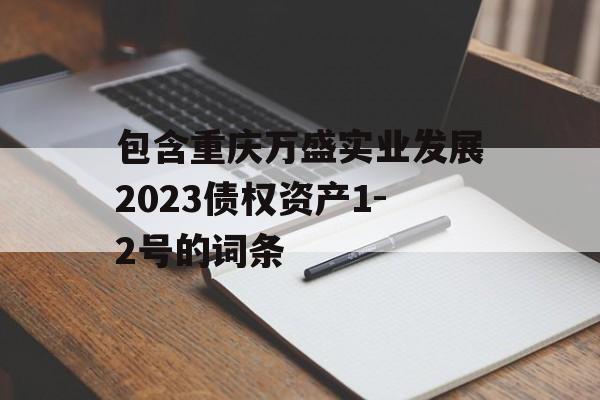 包含重庆万盛实业发展2023债权资产1-2号的词条