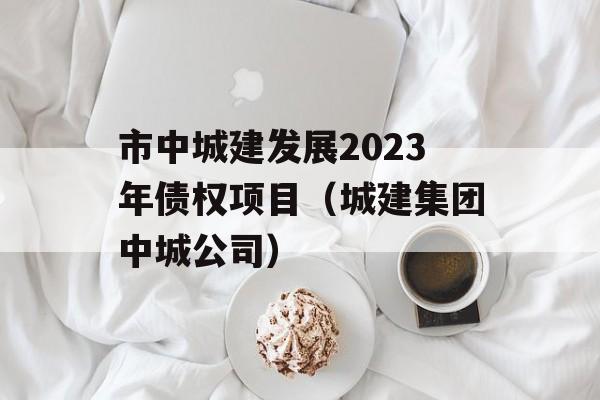 市中城建发展2023年债权项目（城建集团中城公司）