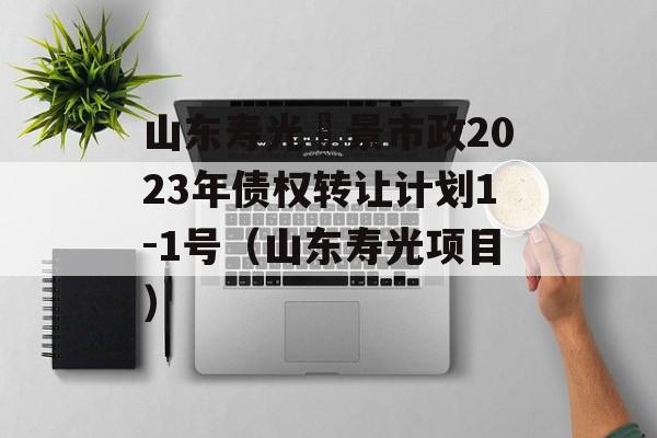 山东寿光昇景市政2023年债权转让计划1-1号（山东寿光项目）