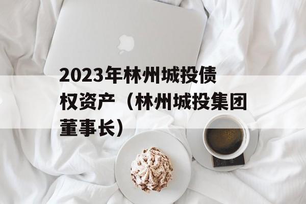 2023年林州城投债权资产（林州城投集团董事长）