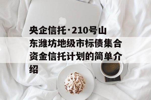 央企信托·210号山东潍坊地级市标债集合资金信托计划的简单介绍