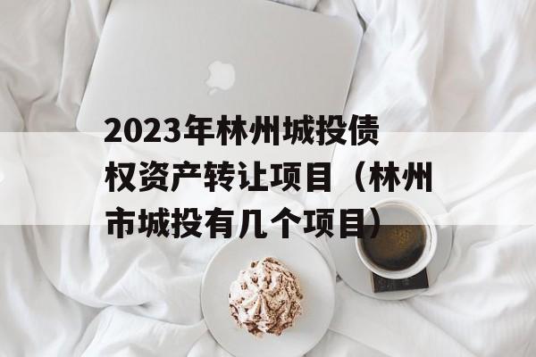 2023年林州城投债权资产转让项目（林州市城投有几个项目）