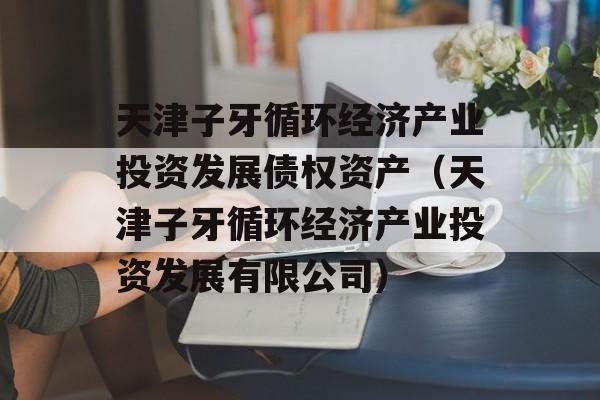 天津子牙循环经济产业投资发展债权资产（天津子牙循环经济产业投资发展有限公司）