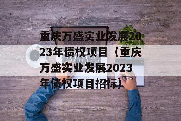 重庆万盛实业发展2023年债权项目（重庆万盛实业发展2023年债权项目招标）