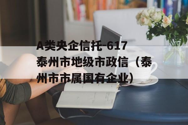 A类央企信托-617泰州市地级市政信（泰州市市属国有企业）