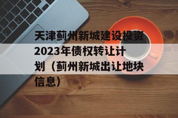 天津蓟州新城建设投资2023年债权转让计划（蓟州新城出让地块信息）