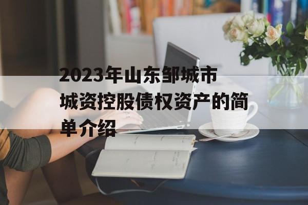 2023年山东邹城市城资控股债权资产的简单介绍