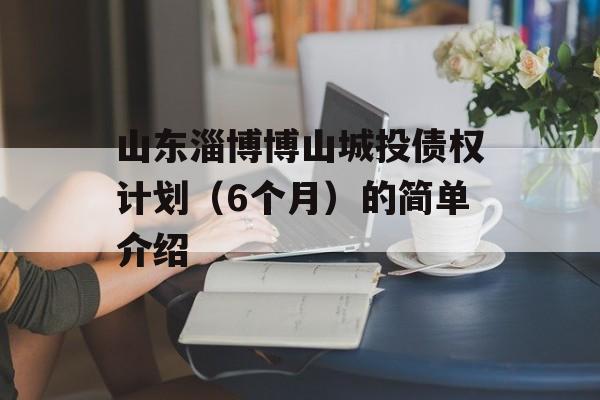 山东淄博博山城投债权计划（6个月）的简单介绍