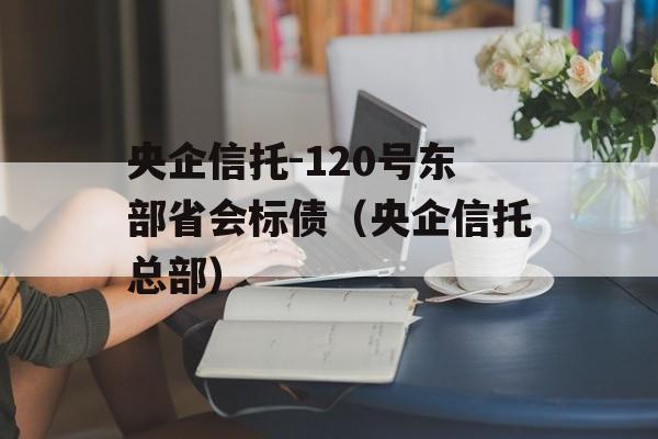 央企信托-120号东部省会标债（央企信托总部）