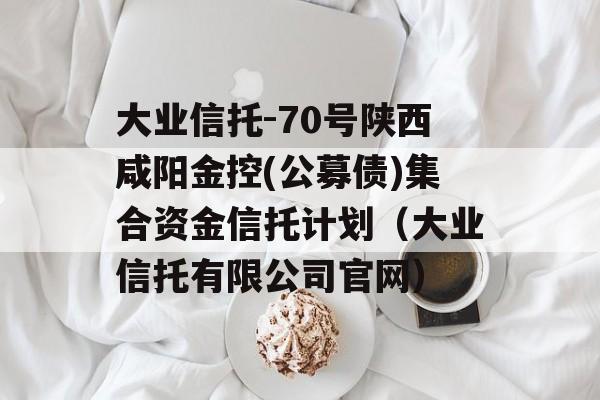 大业信托-70号陕西咸阳金控(公募债)集合资金信托计划（大业信托有限公司官网）