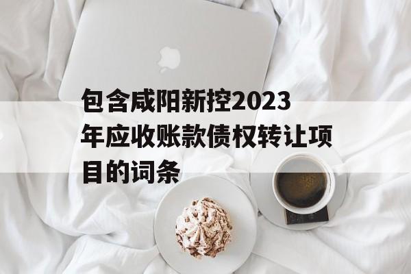 包含咸阳新控2023年应收账款债权转让项目的词条