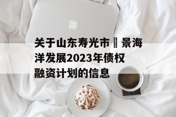 关于山东寿光市昇景海洋发展2023年债权融资计划的信息