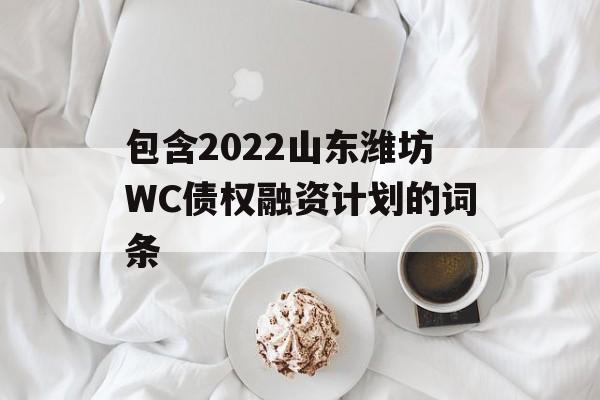 包含2022山东潍坊WC债权融资计划的词条