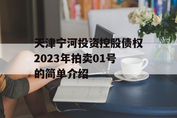 天津宁河投资控股债权2023年拍卖01号的简单介绍