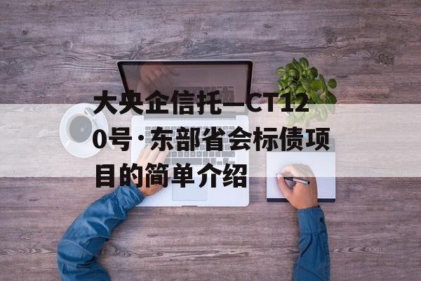 大央企信托—CT120号·东部省会标债项目的简单介绍