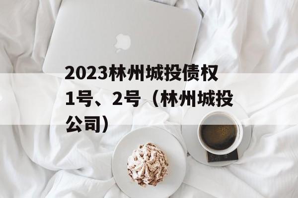 2023林州城投债权1号、2号（林州城投公司）