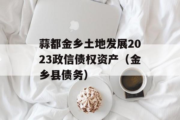 蒜都金乡土地发展2023政信债权资产（金乡县债务）