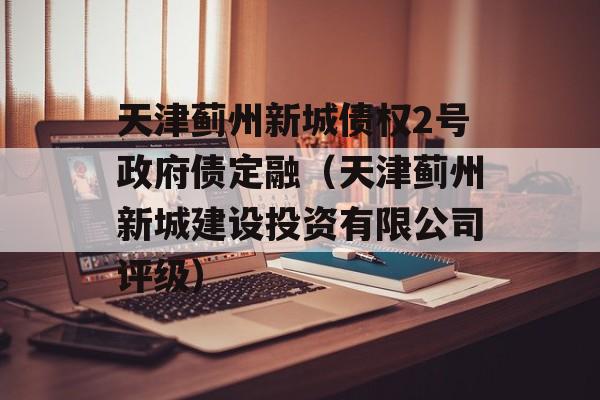 天津蓟州新城债权2号政府债定融（天津蓟州新城建设投资有限公司评级）