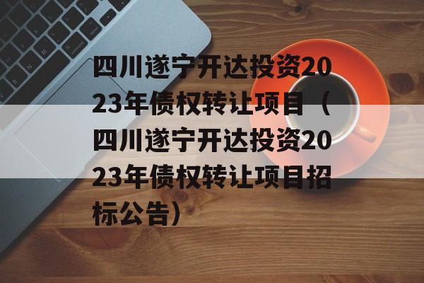 四川遂宁开达投资2023年债权转让项目（四川遂宁开达投资2023年债权转让项目招标公告）