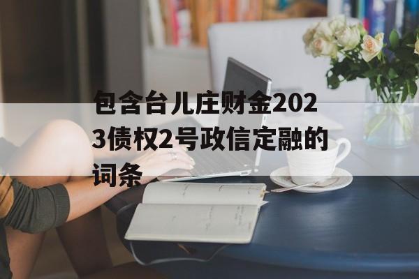 包含台儿庄财金2023债权2号政信定融的词条