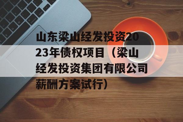 山东梁山经发投资2023年债权项目（梁山经发投资集团有限公司薪酬方案试行）