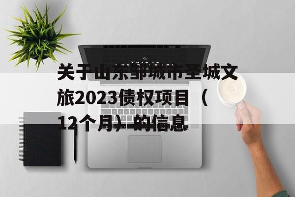 关于山东邹城市圣城文旅2023债权项目（12个月）的信息