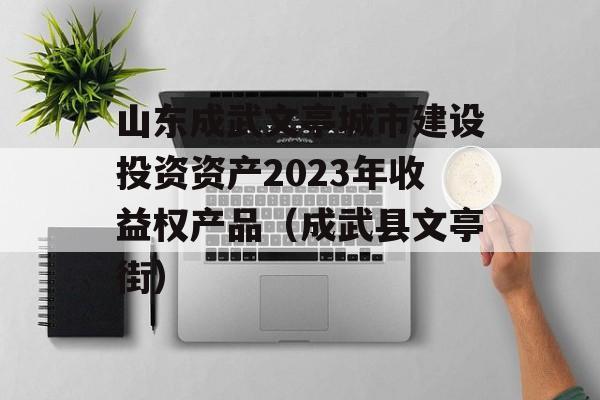 山东成武文亭城市建设投资资产2023年收益权产品（成武县文亭街）