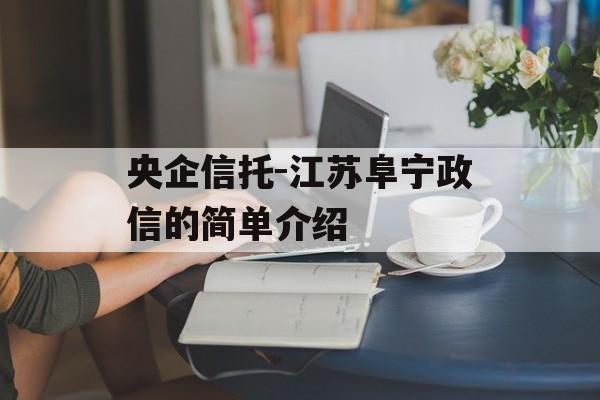 央企信托-江苏阜宁政信的简单介绍