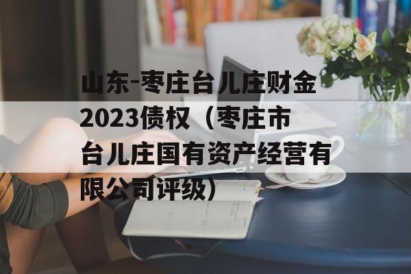 山东-枣庄台儿庄财金2023债权（枣庄市台儿庄国有资产经营有限公司评级）