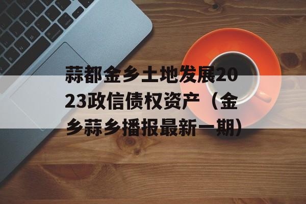 蒜都金乡土地发展2023政信债权资产（金乡蒜乡播报最新一期）