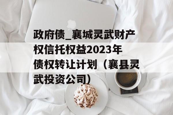 政府债_襄城灵武财产权信托权益2023年债权转让计划（襄县灵武投资公司）