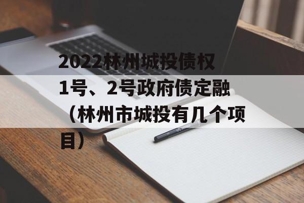 2022林州城投债权1号、2号政府债定融（林州市城投有几个项目）