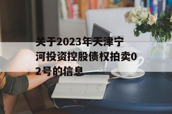 关于2023年天津宁河投资控股债权拍卖02号的信息