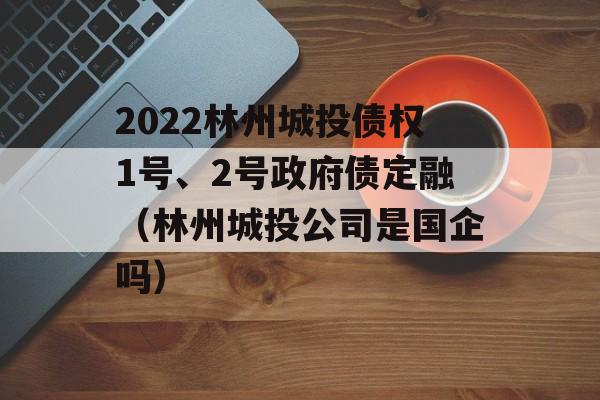 2022林州城投债权1号、2号政府债定融（林州城投公司是国企吗）