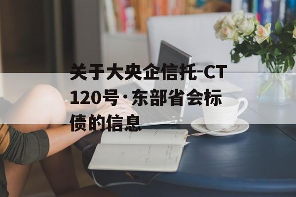 关于大央企信托-CT120号·东部省会标债的信息