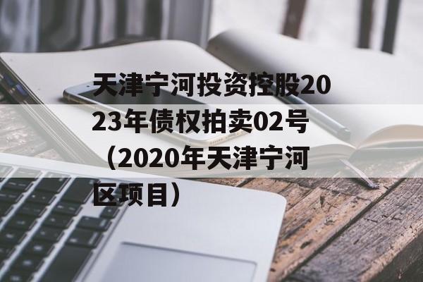 天津宁河投资控股2023年债权拍卖02号（2020年天津宁河区项目）