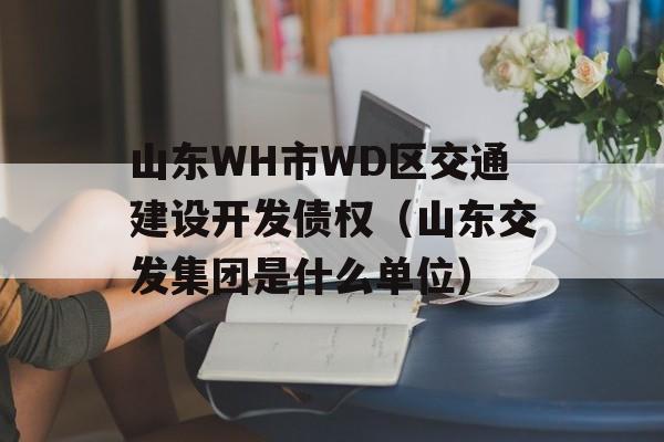 山东WH市WD区交通建设开发债权（山东交发集团是什么单位）