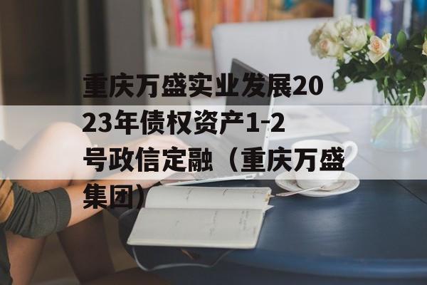 重庆万盛实业发展2023年债权资产1-2号政信定融（重庆万盛集团）