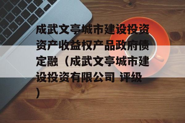 成武文亭城市建设投资资产收益权产品政府债定融（成武文亭城市建设投资有限公司 评级）