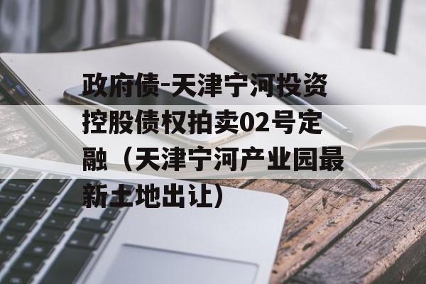 政府债-天津宁河投资控股债权拍卖02号定融（天津宁河产业园最新土地出让）