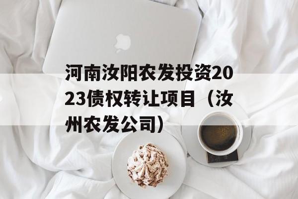 河南汝阳农发投资2023债权转让项目（汝州农发公司）