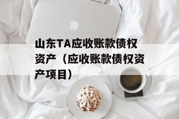 山东TA应收账款债权资产（应收账款债权资产项目）